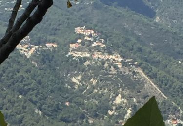 Tour Wandern Nizza - Mont Leuze - Photo