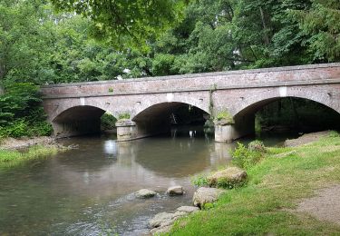 Tour Wandern Talmontiers - Talmontiers Amécourt Sérifontaine  - Photo