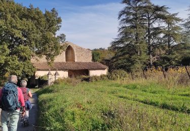 Trail Walking Bonnieux - Bonnieux ➡️ Lacoste  - Photo