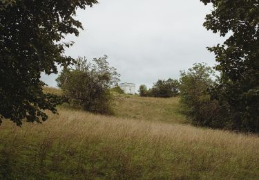 Tour Zu Fuß Gersheim - Nordic-Walking-Weg 3 - Photo