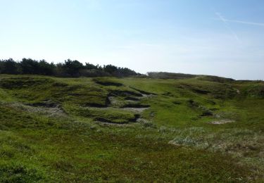 Excursión A pie Texel - Seetingvallei - Photo