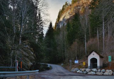 Randonnée A pied Sankt Lorenzen im Mürztal - Wanderweg - Photo