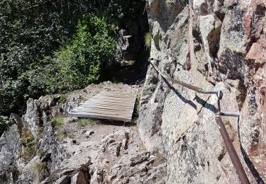 Randonnée Marche Le Valtin - Col de la Schlucht - sentier des Roches - Petit Honneck - Honneck - Trois Fours - Photo