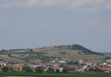 Tour Zu Fuß Gemeinde Mannersdorf am Leithagebirge - Mannersdorf - Breitenbrunn - Photo