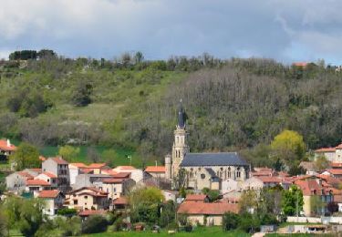 Trail Walking Teilhède - Teilhede_Puy_Grammont - Photo