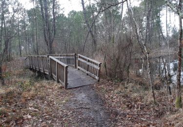 Tocht Stappen Hostens - lacs de Bernadas et Lamothe Hostens - Photo