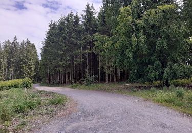 Tour Hybrid-Bike Libramont-Chevigny - 13072941-VTC70KM_LIBRAMONT - Photo