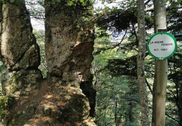 Trail Walking Auxelles-Bas - planche des belles filles depuis auxelles haut  - Photo