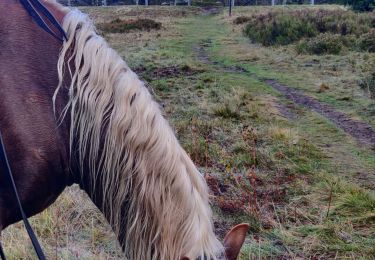 Tour Reiten Urbeis - 2020-10-18 Rando CVA Climont Gresswiller - Photo