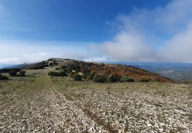 Trail Walking Cabrières-d'Aigues - le Mourre Nègre - Photo