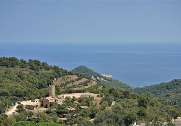 Tour Zu Fuß Begur - SL-C 23 reserva marina de Ses Negres - Photo