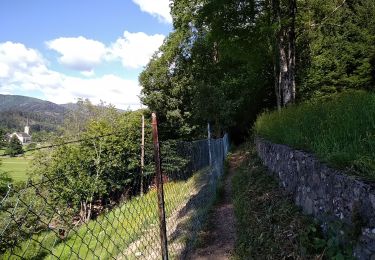 Tour Wandern Oberbruck - Oberbruck Lagerwald - Photo