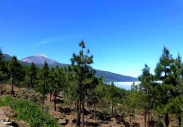 Excursión A pie La Orotava - SL-TF 81 Camino de la Orilla del Monte - Photo