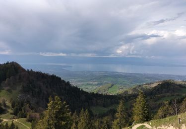 Randonnée Marche Lullin - Le Mont Forchat au départ du col des Arses - Photo