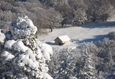 Trail Snowshoes Saint-Agnan-en-Vercors - Beure - Écondus - Photo