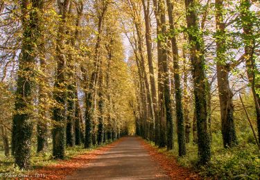 Tour Wandern Perche en Nocé - Nocé-Courboyer - Rémalard 17 km - Photo