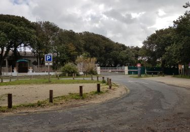 Randonnée Marche La Tremblade - autour du phare de la coubre  - Photo