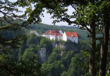 Excursión A pie Gomadingen - Kleine Donautraufrunde - Photo