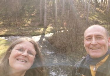 Tocht Stappen Florenville - Lambert monte - Photo