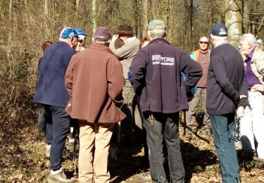 Trail Walking Chimay - Lompret 2019 -3 - 21 - Photo