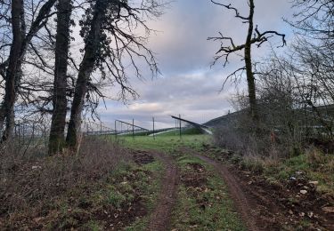 Randonnée Marche Vouthon-Haut - vers les photovoltaïques  - Photo