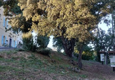 Randonnée Marche Roquebrune-sur-Argens - les hauts de Roquebrune  - Photo