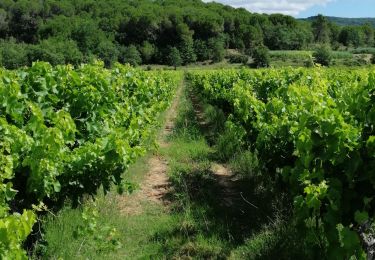 Randonnée Vélo de route Goudargues - boucle Goudargues-Frigoulet-Cornillon  - Photo