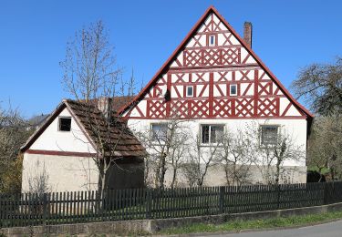 Percorso A piedi Lichtenfels - Rundwanderweg Aussichtsturm-Köstner Gründla - Photo