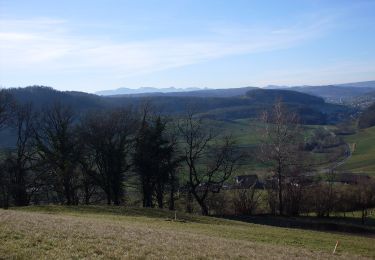 Tocht Te voet Wegenstetten - Usseri Weid - Rothenfluh - Photo