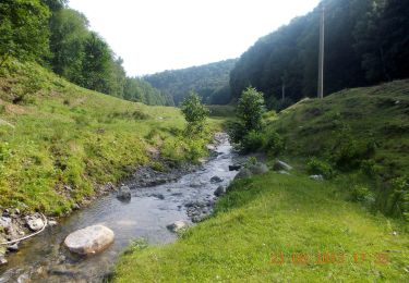 Tour Zu Fuß Unbekannt - Bărbătești - Valea Otăsăului - Valea Bulzului - Vârful Țucla - Curmătura Builei - Photo