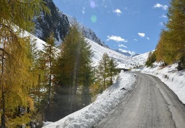 Percorso A piedi Val Müstair - Blockhaus - Alp Prasüra - Sella da Piz Cotschen - Photo