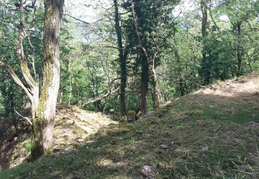 Tour Wandern Geberschweier - Boucle Gueberschwihr Schauenberg - Photo