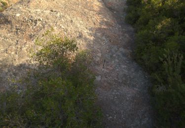 Trail Walking Saint-Antonin-sur-Bayon - Voie des Moussaillons puis Arête sud intégrale de la croix depuis le parking de plan d'anchois  - Photo