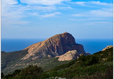 Tocht Stappen Piana - Capo Rosso (Cat2a) - Photo