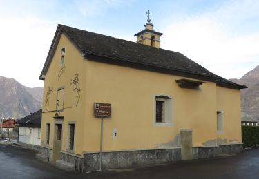 Tour Zu Fuß Pieve Vergonte - A41 - Rumianca - Alpe Pian Lago bivio B97 - Photo