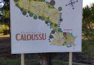 Trail On foot Roquebrune-sur-Argens - z le coulet redon 18-02-20 - Photo