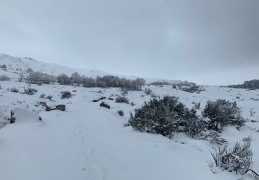 Trail Walking Murol - Le tour de Beaune le froid  - Photo