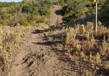 Trail Walking Roquebrune-sur-Argens - z la Bouverie 25-08-20 - Photo