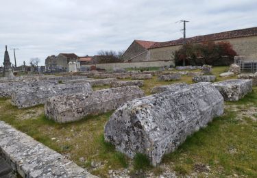 Tocht Stappen Ligné - La balade de Ligné - Photo