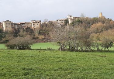 Randonnée Marche Aurignac - Aurignac Sentier Botanique  - Photo