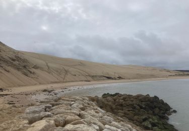 Tocht Stappen La Teste-de-Buch - Dune du Pyla - Photo