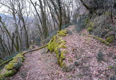 Excursión Senderismo Floirac - le caillon cirque de foirac  - Photo