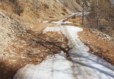 Excursión Esquí de fondo Le Lauzet-Ubaye - Pic de Savernes - Photo