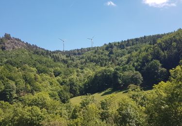 Randonnée Marche Borée - monts d'Ardèche 4 - Photo