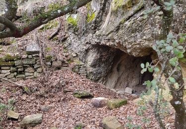 Excursión Senderismo Manosque - Les crêtes du LUBERON, départ Crématorium - Photo