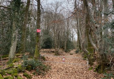 Tocht Mountainbike Saint-Romain-sous-Gourdon - Reconnaissance rando du 26/02  faite en VTT - Photo