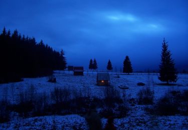 Tour Zu Fuß  - sat Dănești - Poiana Mădicea - Refugiul Montan Lacul Dracului - Photo