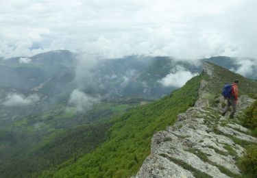 Trail Walking Charens - F26310 Charens Tarsimoure R2000 - Photo