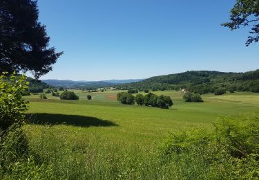 Tocht Mountainbike Pont-de-Poitte - poitte écrille poitte - Photo