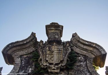 Excursión A pie Aboim da Nóbrega e Gondomar - Trilho de Terras da Nóbrega - Photo